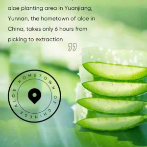 Stacked fresh aloe vera slices representing the high-purity ingredients in SADOER Aloe Vera Eye Cream.