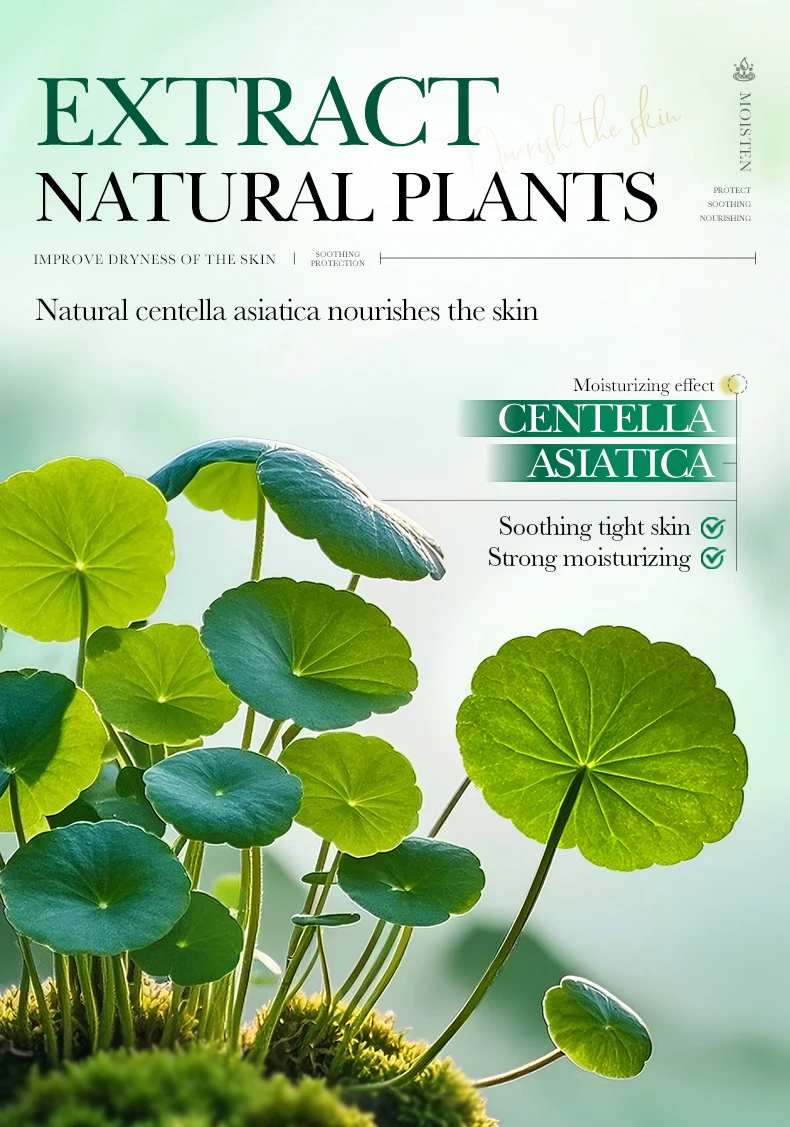 SADOER Centella Asiatica B5 Lotion product information