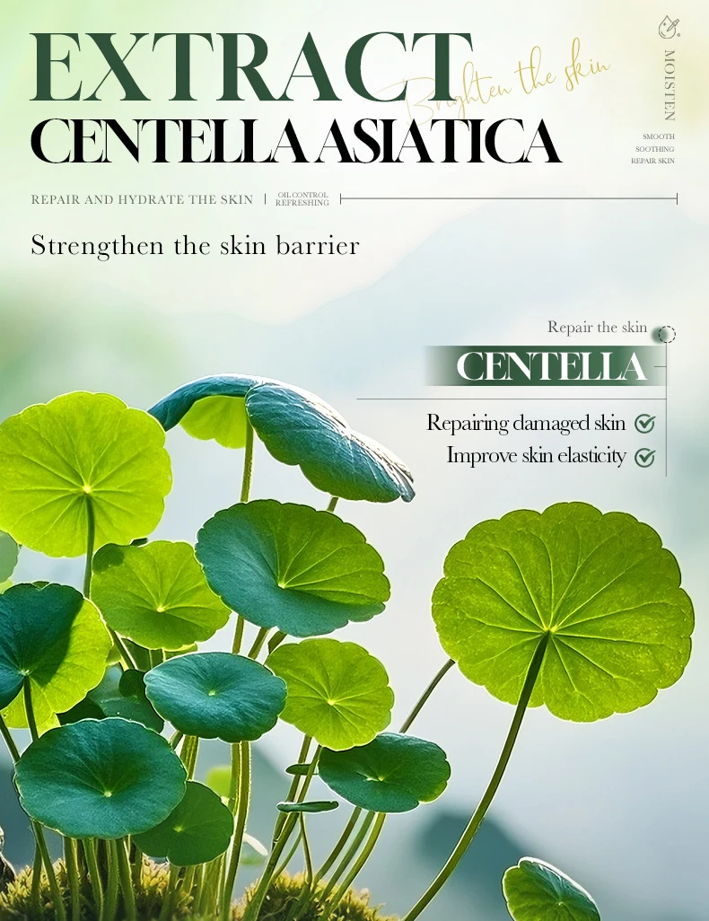 SADOER Centella Asiatica B5 Serum product information