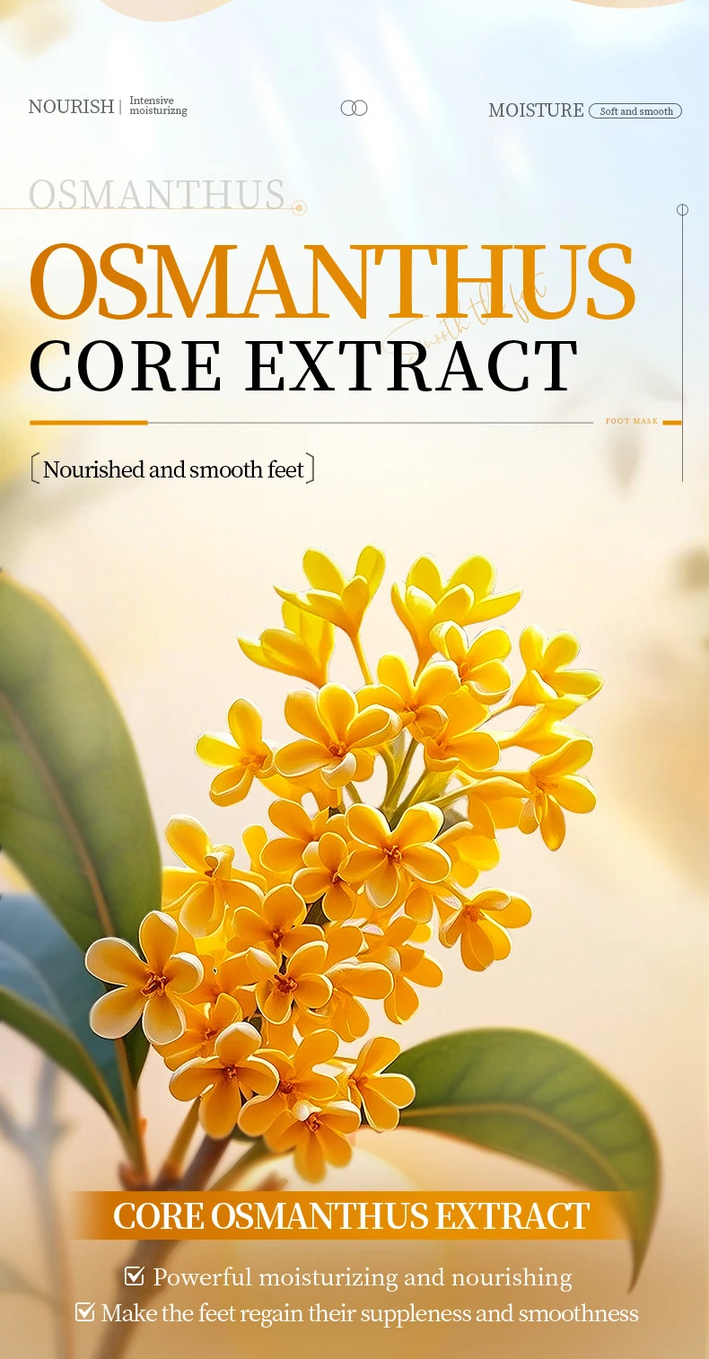 SADOER Osmanthus Petrolatum Foot Mask product information