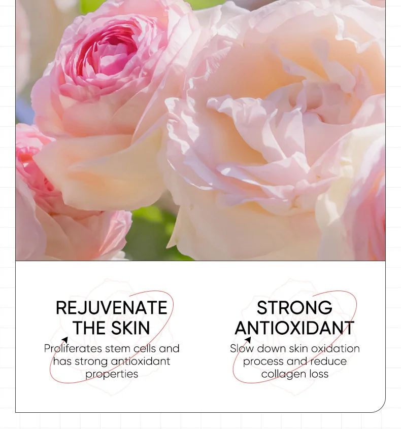 SADOER Damask Rose Starry Eye Mask Patches product information