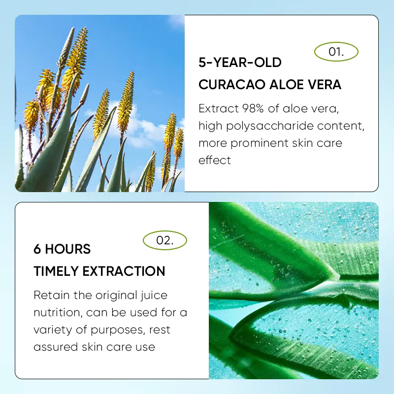 SADOER Aloe Vera Lip Balm gallery highlighting aloe vera plants and extraction process.